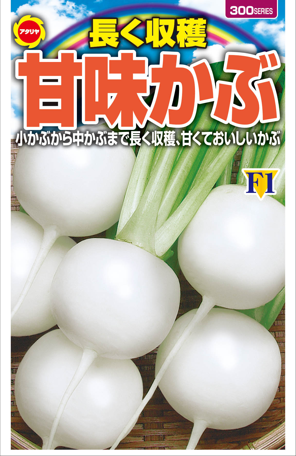 長く収穫 甘味かぶ | 株式会社アタリヤ農園